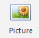 10. Picture